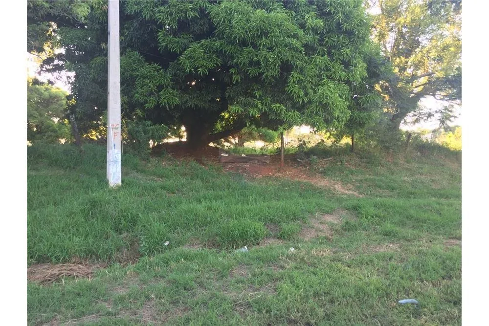 Importante Terreno sobre Ruta 1 Capiata — foto 3