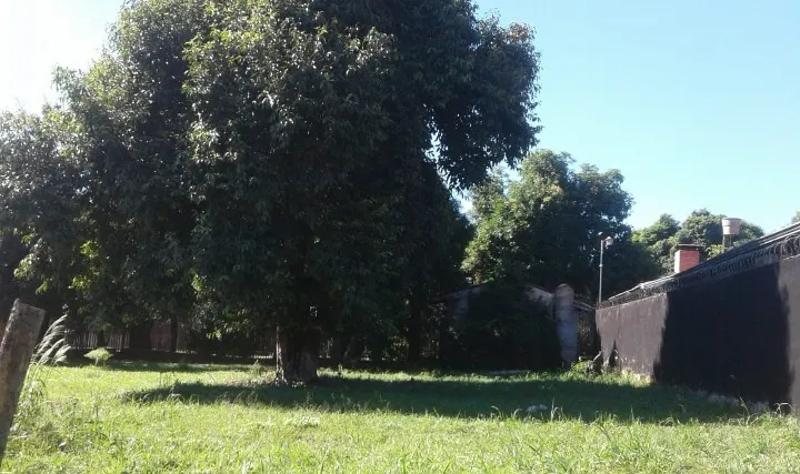 VENDO HERMOSO TERRENO EN LUQUE - LOMA MERLO — foto 2