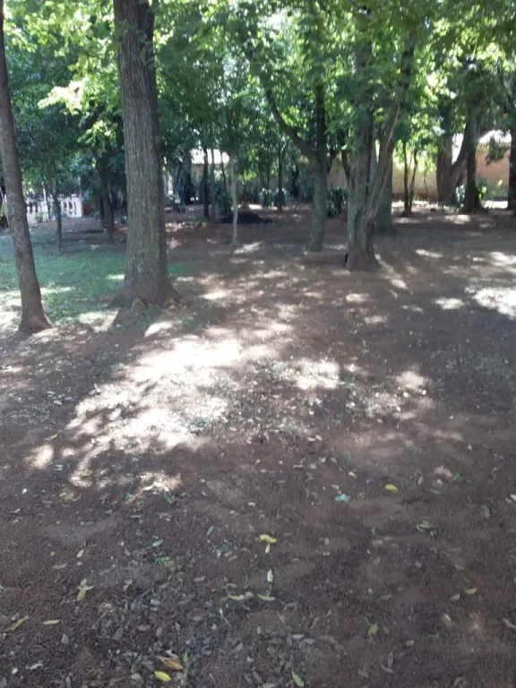 Vendo terreno en el centro de Yaguaron — foto 2