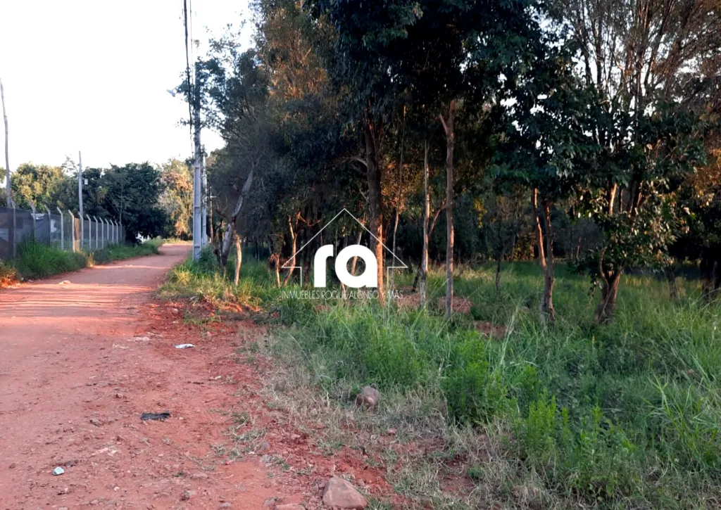 VENDO TERRENO DE 5000M2 EN LIMPIO!! — foto 2