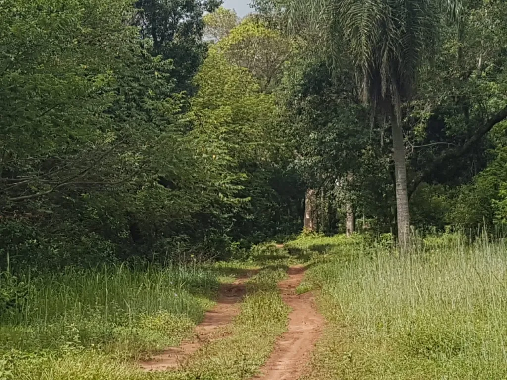 Vendo 4 Lotes juntos en Altos — foto 2