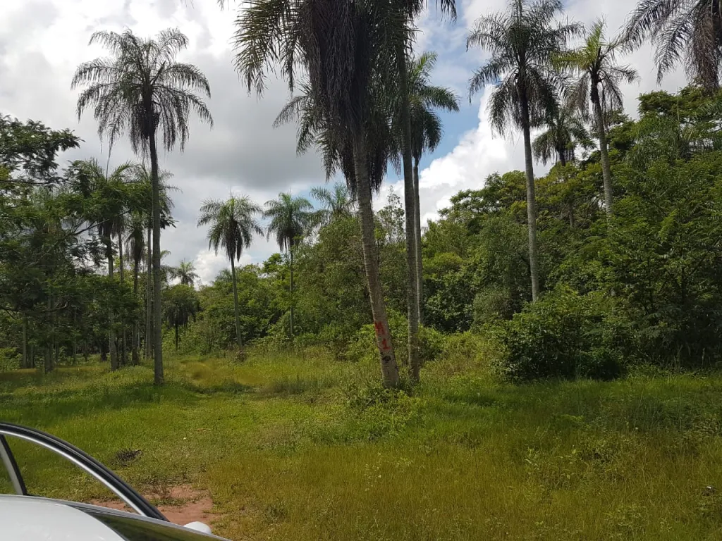 Vendo 4 Lotes juntos en Altos — foto 3