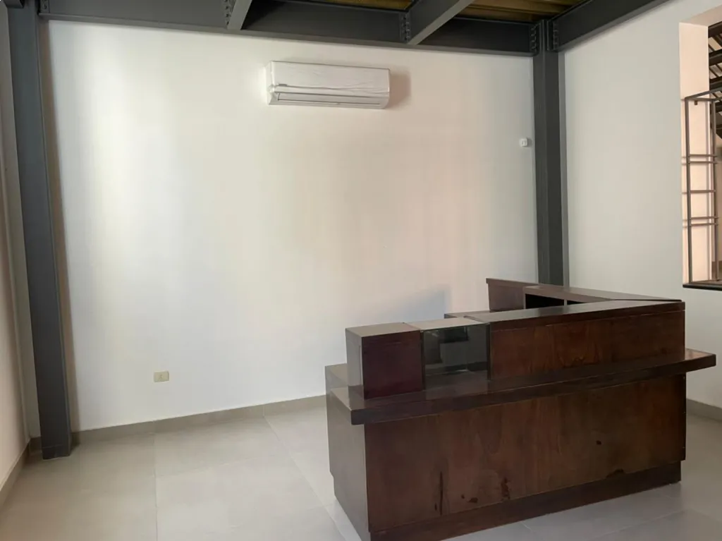 ALQUILO O VENDO PROPIEDAD EN EL CENTRO DE ASUNCIÓN — foto 2