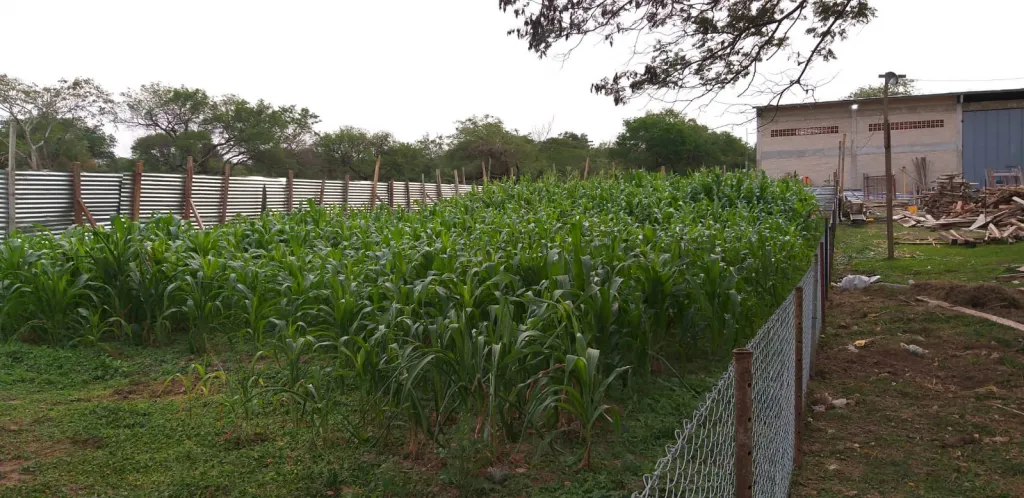 Vendo terreno — foto 3