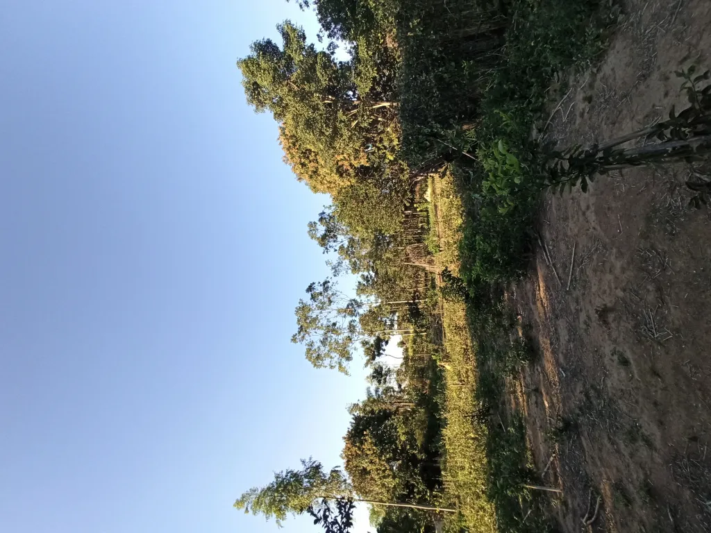 Anuncio 1855963 — foto 2