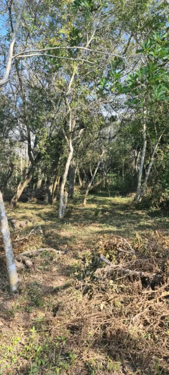 Vendo dos lotes juntos en Loma Grande, a 80 m del asfalto — foto 3
