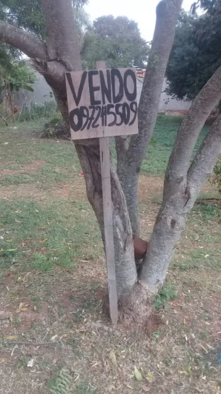 VENDO HERMOSO TERRENO EN SAN LORENZO — foto 2
