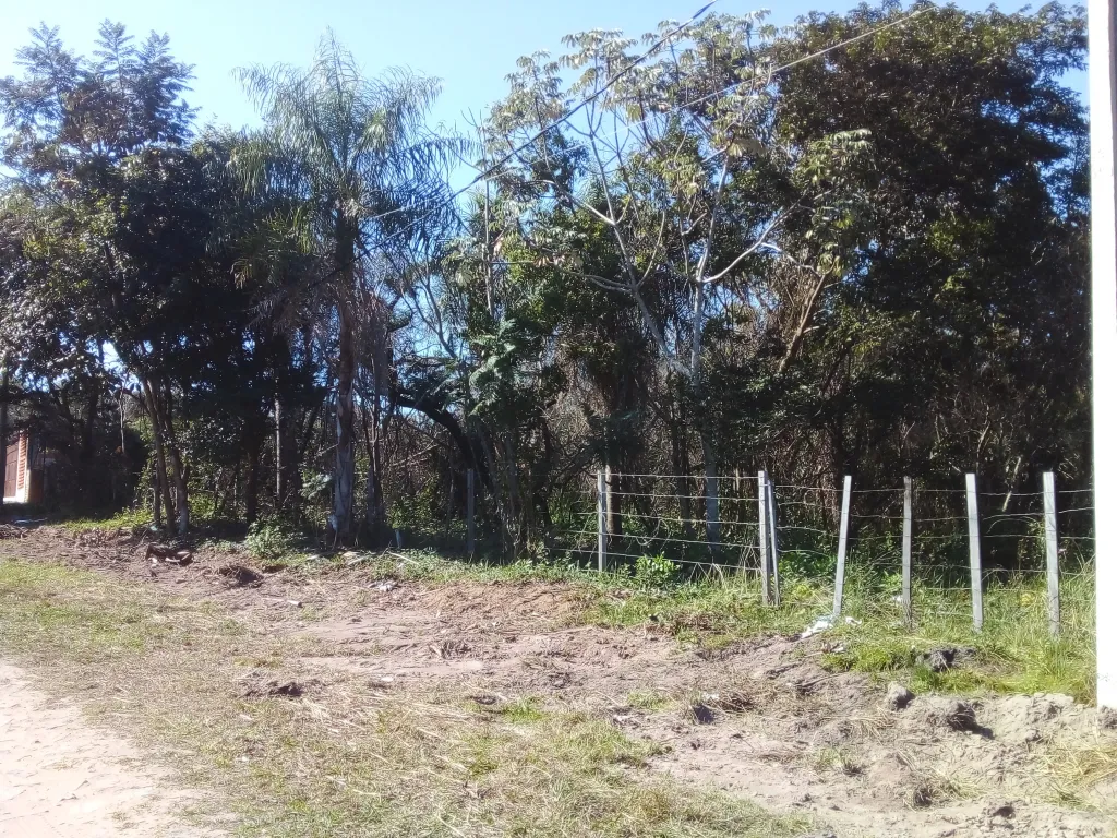 VENDO TERRENO — foto 2