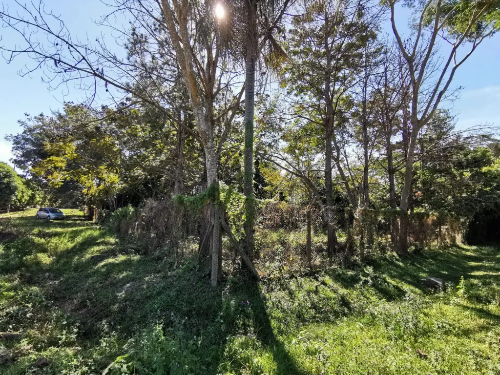 Terreno en Patiño — foto 2