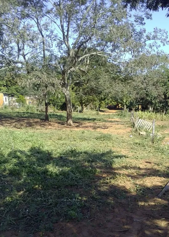 VENDO TERRENO EN YTORORO — foto 2