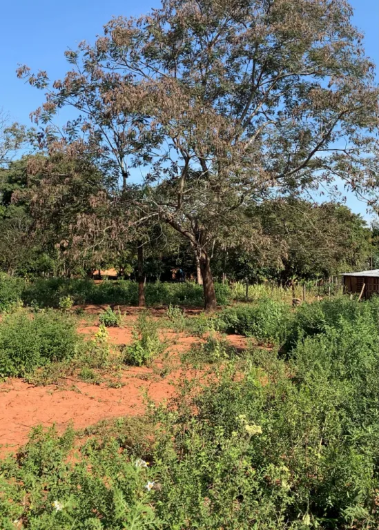 VENDO TERRENO EN YTORORO — foto 3