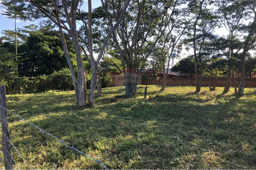 TERRENO EN ESQUINA - VILLA ELISA — foto 3