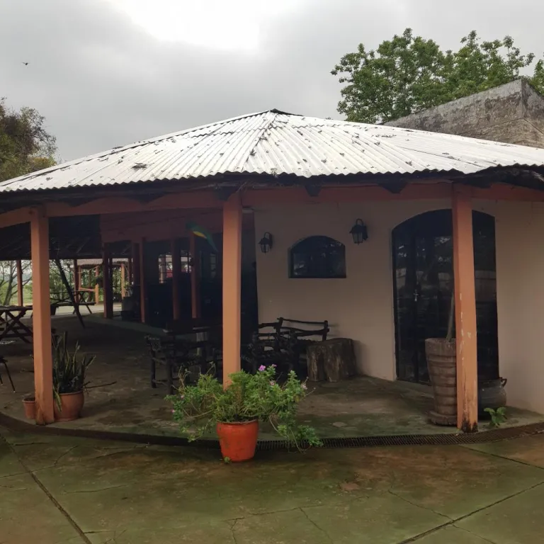 Vendo propiedad en San Antonio especial para puerto sobre el Río Paraguay — foto 3