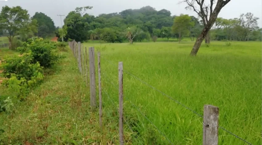 VENDO 7,42 HECTARIAS CON EXCEDENTE — foto 2