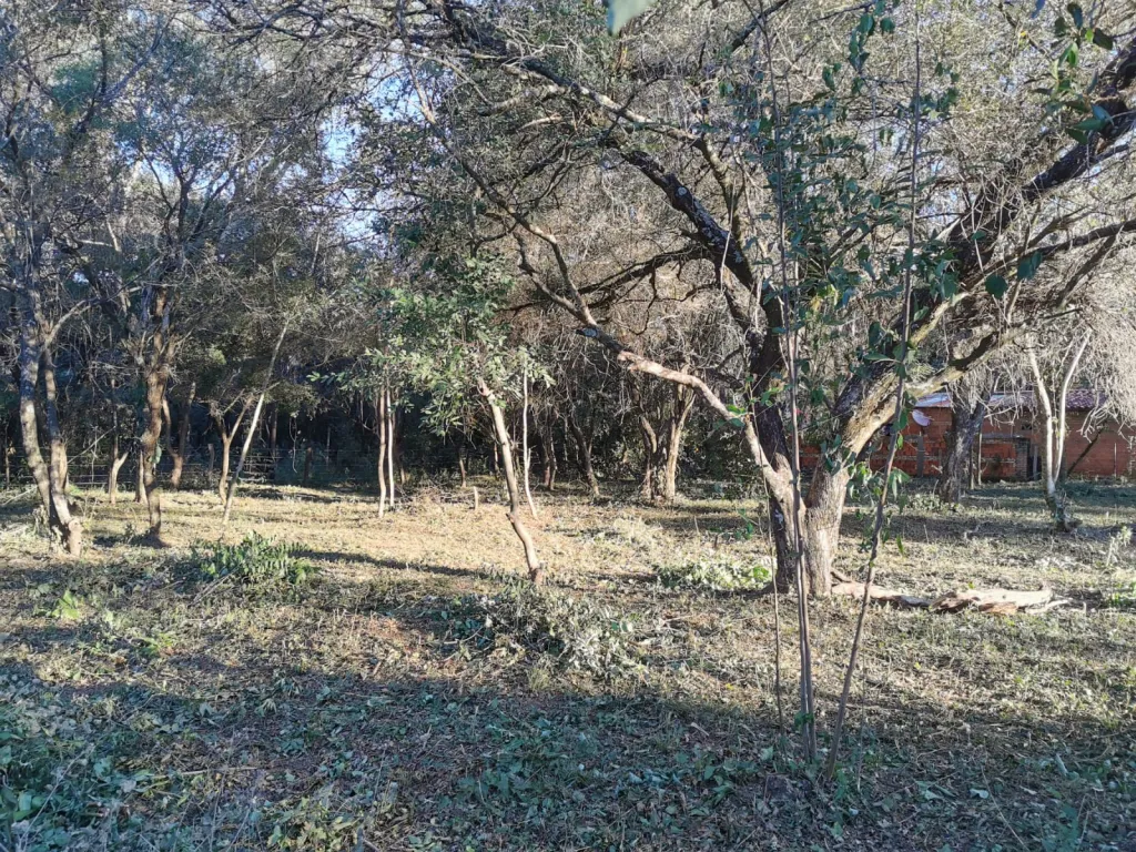 VENDO TERRENO EN ALTOS — foto 3