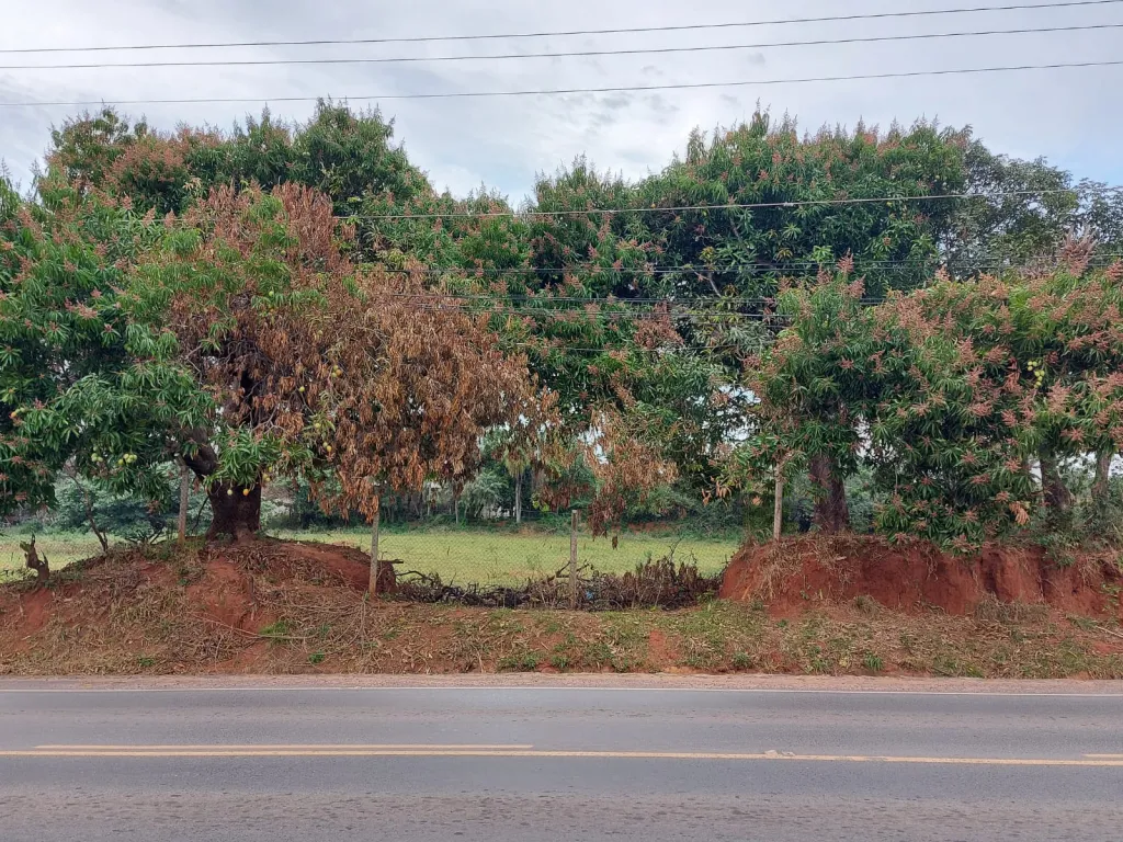Vendo Terreno Luque Limpio — foto 2