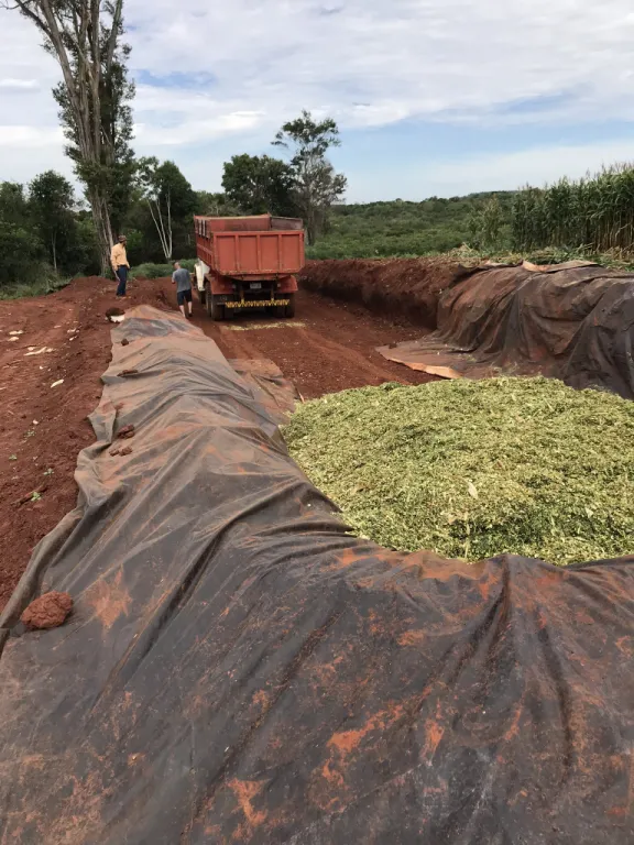 Propriedad con Confinamiento Minga Guazu — foto 2