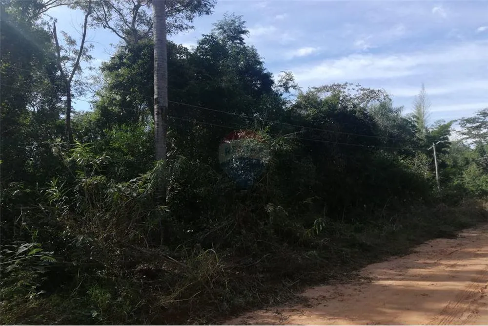 Terreno - Venta - Paraguay San Pedro San Estanislao Interesante Propiedad Rural en SantanÍ — foto 3