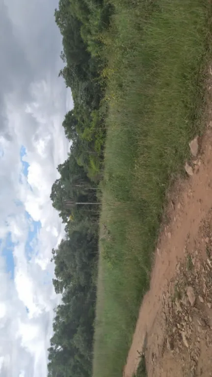 Vendo 2 lindos terrenos en Emboscada — foto 3