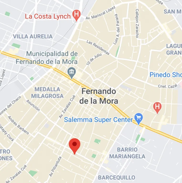 VENDO TERRENO S PATRICIO COLMAN – FDO DE LA MORA SUR- UBICACION ESTRATEGICA -594,56 m2 — foto 2