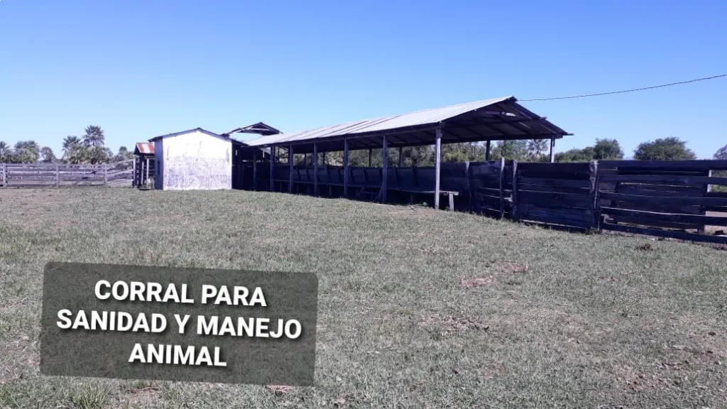 INMUEBLE RURAL, AGRICOLA,GANADERO, FORESTAL — foto 2