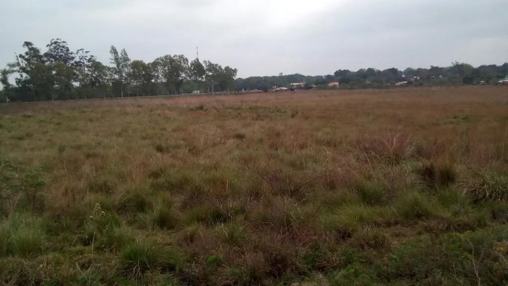 2 terrenos en Itacurubi del Rosario — foto 3