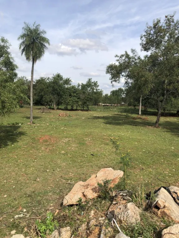 VENDEMOS 5 HAS EN LUQUE — foto 3
