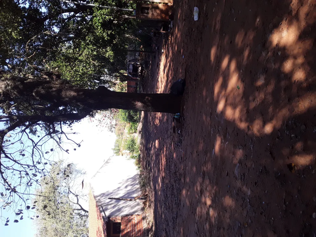 Vendo terreno en el barrio Arecayá de Mariano Roque Alonsol — foto 2