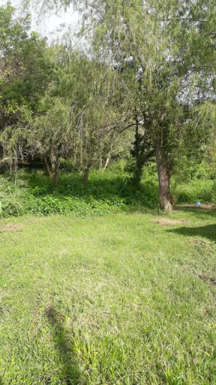 VENDO TERRENO EN CAPIATA — foto 2