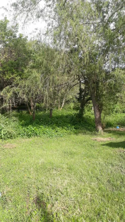 VENDO TERRENO EN CAPIATA — foto 3