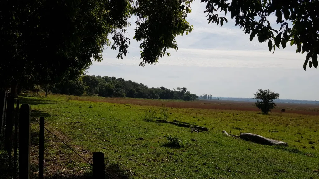 VENDO ESTANCIA FORMADA EN VILLETA — foto 3