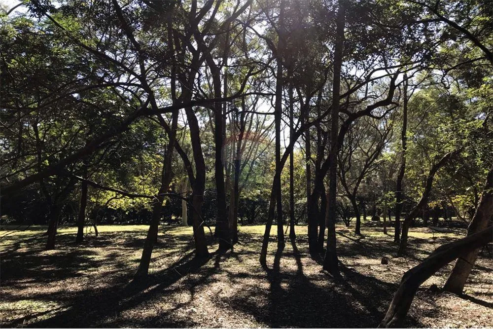 Vendo terreno en Ypacarai - 270.000 USD. — foto 3