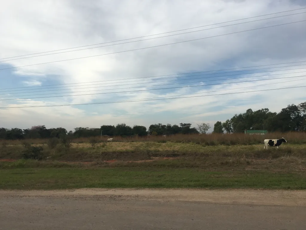 REMATO Terreno en Surubi'i — foto 3