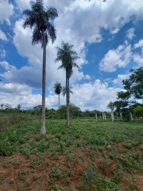 VENTA DE LOTES EN GUAYAIBITY - ITAUGUÁ — foto 2