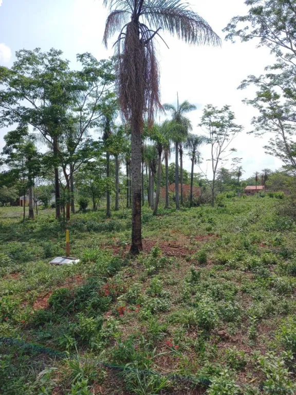 Vendo hermoso terreno en Ita — foto 3