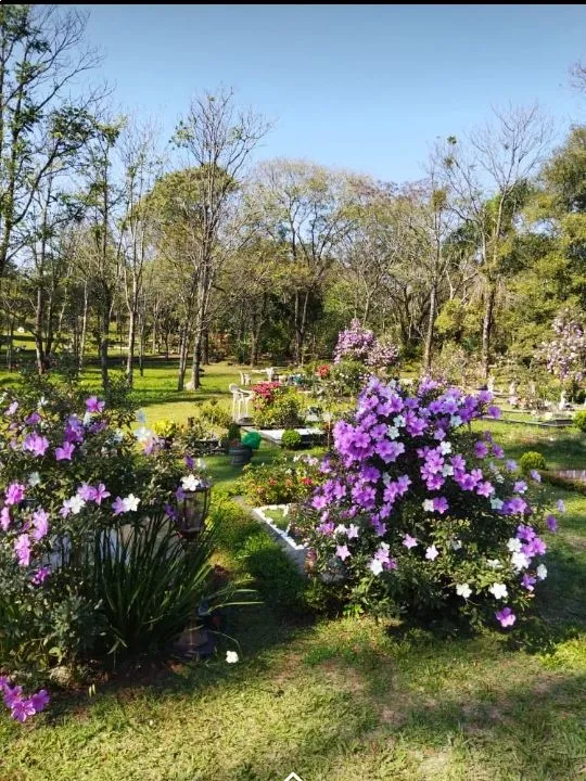Cementerio Privado — foto 2