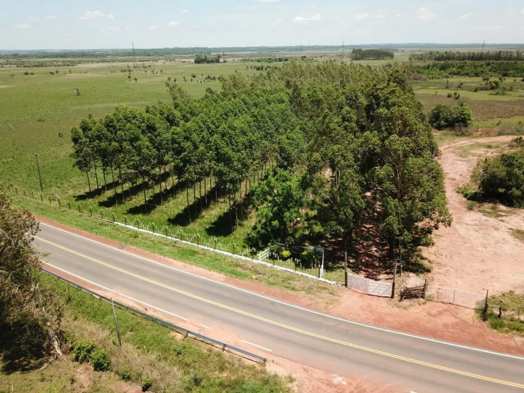 VENDO HERMOSA ESTANCIA GANADERA EN ITA — foto 2