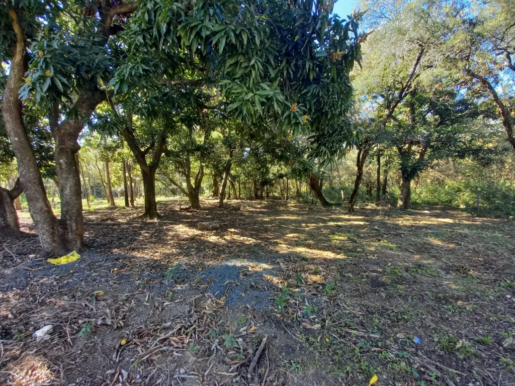 VENTA DE TERRENO EN SAN BERNARDINO — foto 2