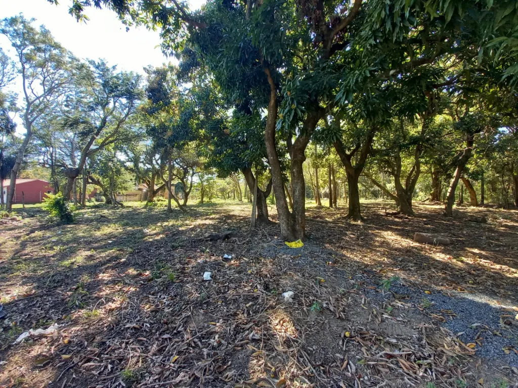 VENTA DE TERRENO EN SAN BERNARDINO — foto 3