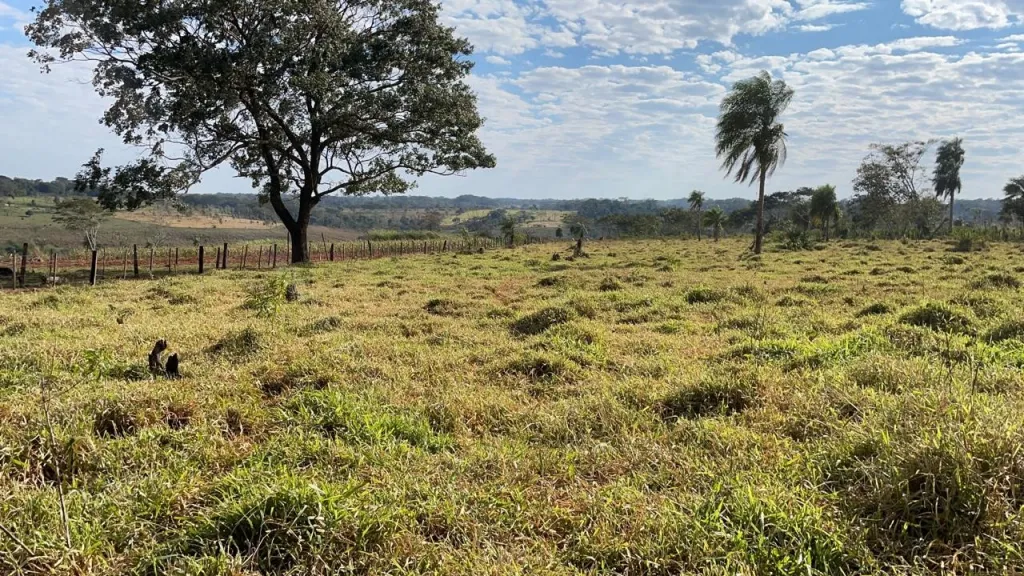 Dueño Vende 60 Hectareas en San Pedro - San Estanislao. — foto 2