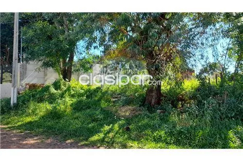 TERRENO EN VILLA ELISA - Bº VILLA ANITA - s EMPEDRADO — foto 2
