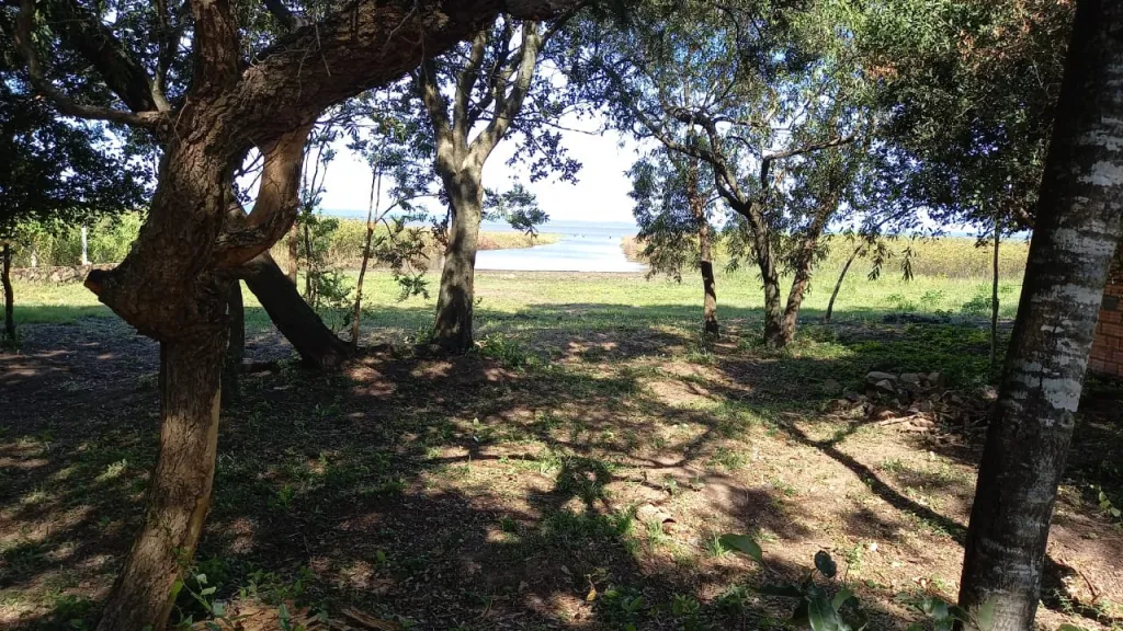 VENDO TERRENO EN SAN BERNARDINO CASI 1 HECTAREA — foto 2