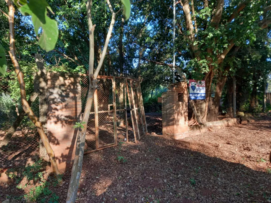 3 TERRENOS JUNTOS O SEPARADOS EN ITAUGUA — foto 3