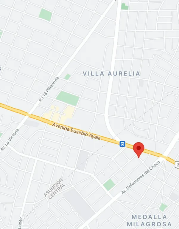 TERRENO EN VENTA ZONA EUSEBIO AYALA Y MADAME LYNCH!! — foto 2