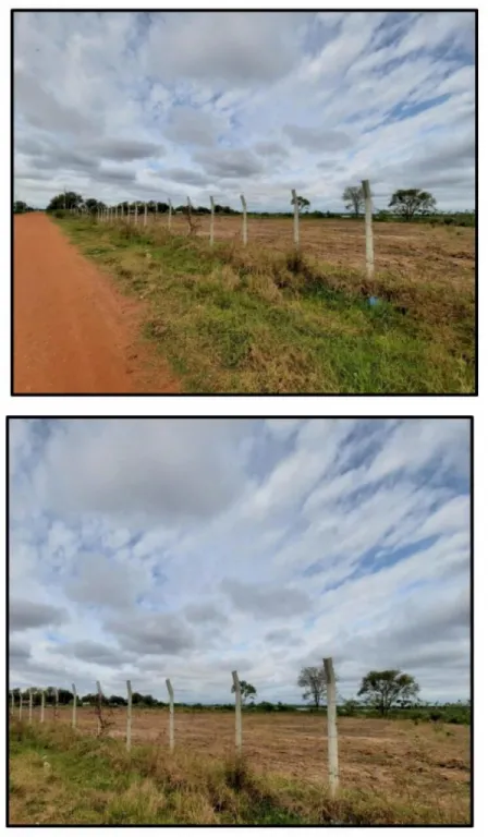 Vendo en Concepción sobre la costa, 6 ha. Hermosa vista al río Paraguay. G061c — foto 2