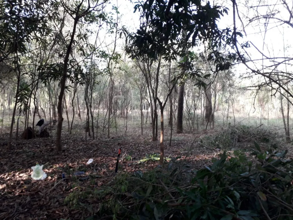 En Venta terreno Compañía Zayas Yaguarón — foto 2