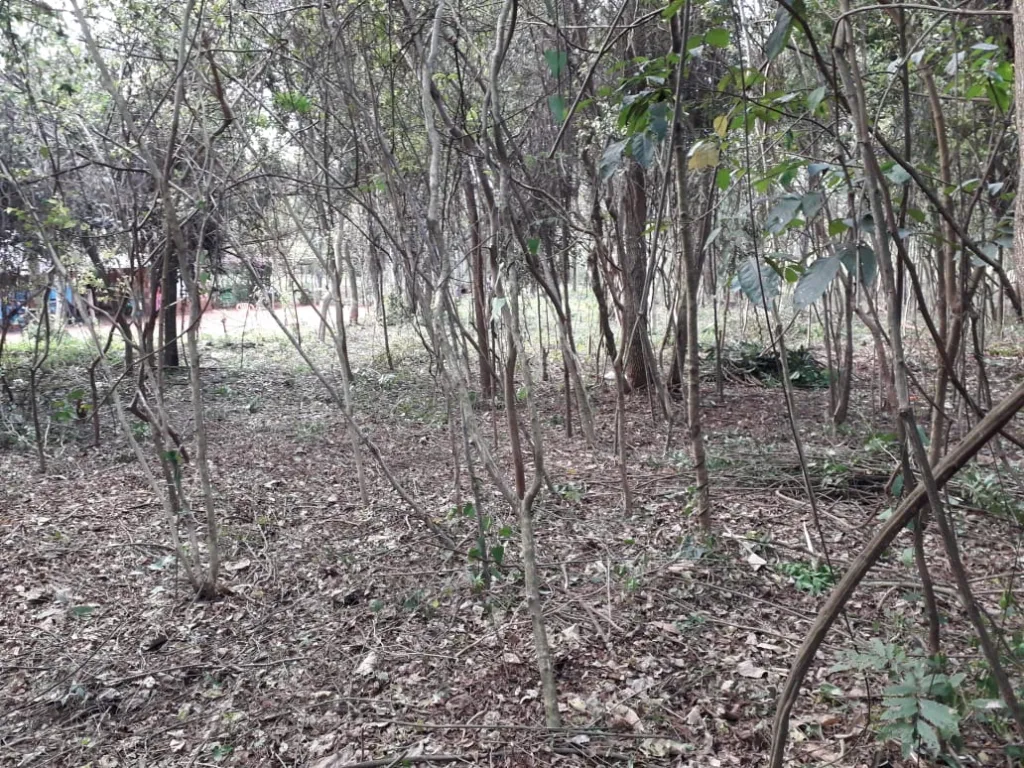 En Venta terreno Compañía Zayas Yaguarón — foto 3