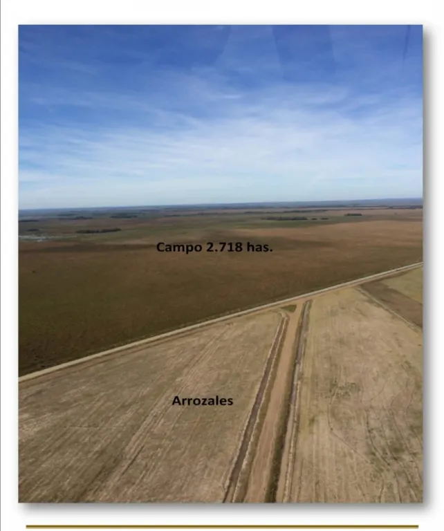 VENDO 2.718 HECTAREAS EN ARROYO Y ESTEROS COD 3859 — foto 2