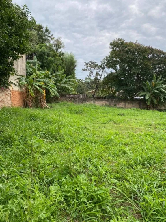 TERRENO EN SANTIMA TRINIDAD — foto 2