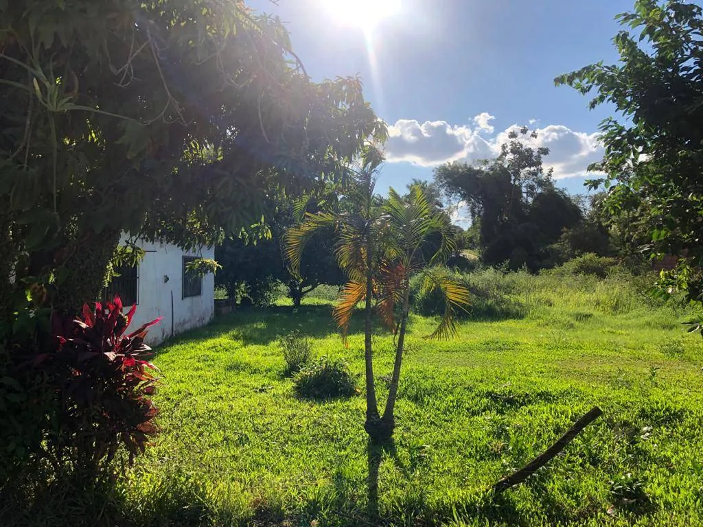 Terreno en Venta en Capiata sobre ruta Capiata-Thompson — foto 2